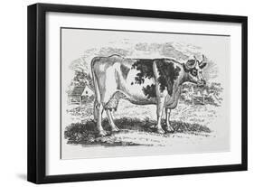 A Cow-Thomas Bewick-Framed Giclee Print