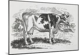 A Cow-Thomas Bewick-Mounted Giclee Print