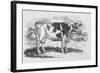 A Cow-Thomas Bewick-Framed Giclee Print