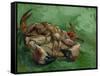 A Crab, Lying on His Back, 1889-Vincent van Gogh-Framed Stretched Canvas