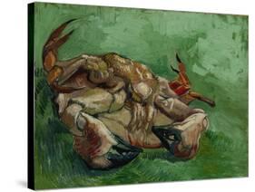 A Crab, Lying on His Back, 1889-Vincent van Gogh-Stretched Canvas