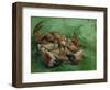 A Crab, Lying on His Back, 1889-Vincent van Gogh-Framed Giclee Print