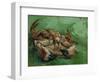 A Crab, Lying on His Back, 1889-Vincent van Gogh-Framed Giclee Print