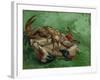 A Crab, Lying on His Back, 1889-Vincent van Gogh-Framed Giclee Print