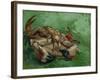 A Crab, Lying on His Back, 1889-Vincent van Gogh-Framed Giclee Print