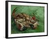 A Crab, Lying on His Back, 1889-Vincent van Gogh-Framed Giclee Print