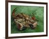 A Crab, Lying on His Back, 1889-Vincent van Gogh-Framed Giclee Print