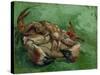 A Crab, Lying on His Back, 1889-Vincent van Gogh-Stretched Canvas