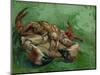A Crab, Lying on His Back, 1889-Vincent van Gogh-Mounted Premium Giclee Print