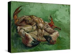 A Crab, Lying on His Back, 1889-Vincent van Gogh-Stretched Canvas