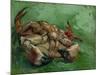 A Crab, Lying on His Back, 1889-Vincent van Gogh-Mounted Premium Giclee Print