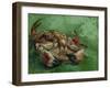 A Crab, Lying on His Back, 1889-Vincent van Gogh-Framed Giclee Print