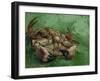 A Crab, Lying on His Back, 1889-Vincent van Gogh-Framed Giclee Print