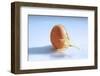 A Cracked Egg-Frank Weymann-Framed Photographic Print