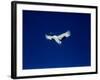 A Crane Flying in the Blue Sky, Tsurui Village, Feburary, Hokkaido, Japan-null-Framed Photographic Print