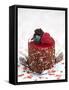 A Cream Tartlet with Berries-Martina Schindler-Framed Stretched Canvas