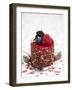 A Cream Tartlet with Berries-Martina Schindler-Framed Premium Photographic Print