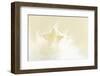 A Cream-White Christmassy Star in a Fleecy Bed-Petra Daisenberger-Framed Photographic Print