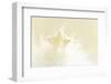 A Cream-White Christmassy Star in a Fleecy Bed-Petra Daisenberger-Framed Photographic Print