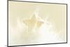 A Cream-White Christmassy Star in a Fleecy Bed-Petra Daisenberger-Mounted Photographic Print