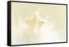 A Cream-White Christmassy Star in a Fleecy Bed-Petra Daisenberger-Framed Stretched Canvas