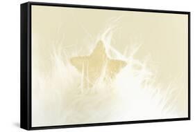 A Cream-White Christmassy Star in a Fleecy Bed-Petra Daisenberger-Framed Stretched Canvas