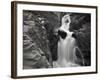 A Creek Rages Through a Narrow Bedrock Canyon Above Portage Lake, Chugach State Park, Alaska.-Ethan Welty-Framed Photographic Print