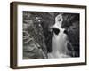 A Creek Rages Through a Narrow Bedrock Canyon Above Portage Lake, Chugach State Park, Alaska.-Ethan Welty-Framed Photographic Print