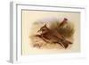 A Crested Lark, British Birds-Archibald Thorburn-Framed Giclee Print