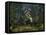 A Crichtonsaurus Crosses Paths with a Pair of Frogs Within a Cretaceous Forest-Stocktrek Images-Framed Stretched Canvas