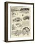 A Cricket Match in Ireland-William Ralston-Framed Giclee Print