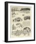 A Cricket Match in Ireland-William Ralston-Framed Giclee Print