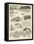 A Cricket Match in Ireland-William Ralston-Framed Stretched Canvas