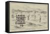 A Cricket Match in the Soudan-null-Framed Stretched Canvas