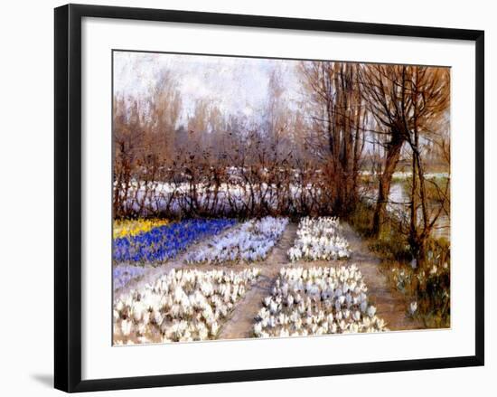 A Crocus Field in Spring, C.1889-George Hitchcock-Framed Giclee Print