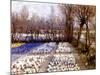 A Crocus Field in Spring, C.1889-George Hitchcock-Mounted Giclee Print