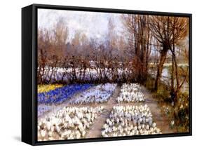 A Crocus Field in Spring, C.1889-George Hitchcock-Framed Stretched Canvas