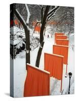 A Cross Country Skier Slides Through a Section of the Gates-null-Stretched Canvas