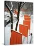 A Cross Country Skier Slides Through a Section of the Gates-null-Stretched Canvas