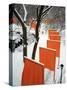 A Cross Country Skier Slides Through a Section of the Gates-null-Stretched Canvas