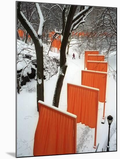A Cross Country Skier Slides Through a Section of the Gates-null-Mounted Photographic Print