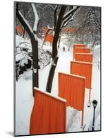 A Cross Country Skier Slides Through a Section of the Gates-null-Mounted Photographic Print