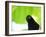 A Crow Stares at the Camera with Great Curiosity-Alex Saberi-Framed Photographic Print