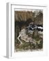 A Crowned 'Merman', a Sea God Sleeping on a Rocky Shore-Arthur Rackham-Framed Giclee Print