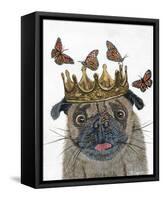 A Crowned Pug-Melissa Symons-Framed Stretched Canvas