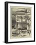 A Cruise in the Lancashire Witch, II, Madagascar-null-Framed Giclee Print