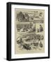 A Cruise in the Lancashire Witch, III, Formosa Bay-Alfred W. Cooper-Framed Giclee Print
