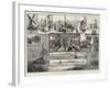 A Cruise on the Norfolk Broads-null-Framed Giclee Print