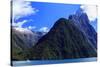 A Cruise Ship on the Waters of Milford Sound in the South Island of New Zealand-Paul Dymond-Stretched Canvas