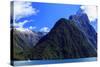 A Cruise Ship on the Waters of Milford Sound in the South Island of New Zealand-Paul Dymond-Stretched Canvas